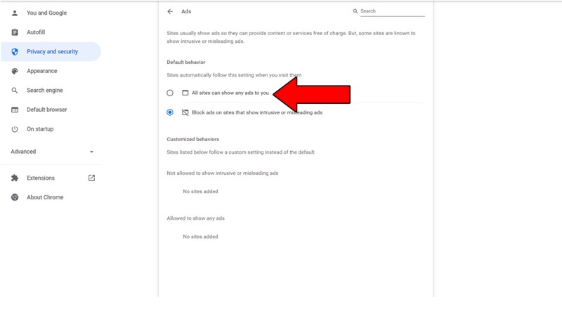 Chrome Privacy Settings Allow Adds On Sytes