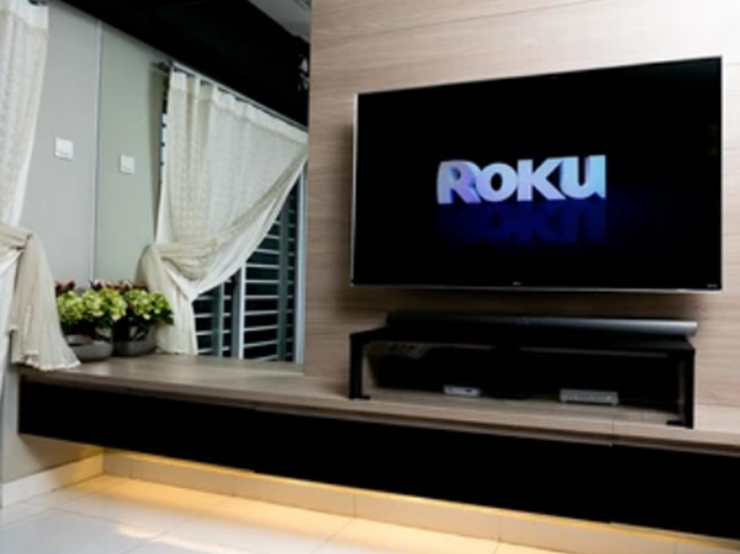 Tv On With Rouko On The Screen