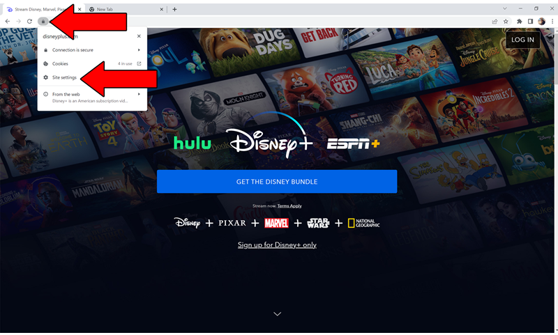 Main Page Of Disney And Two Arrows Pointing To Site Options